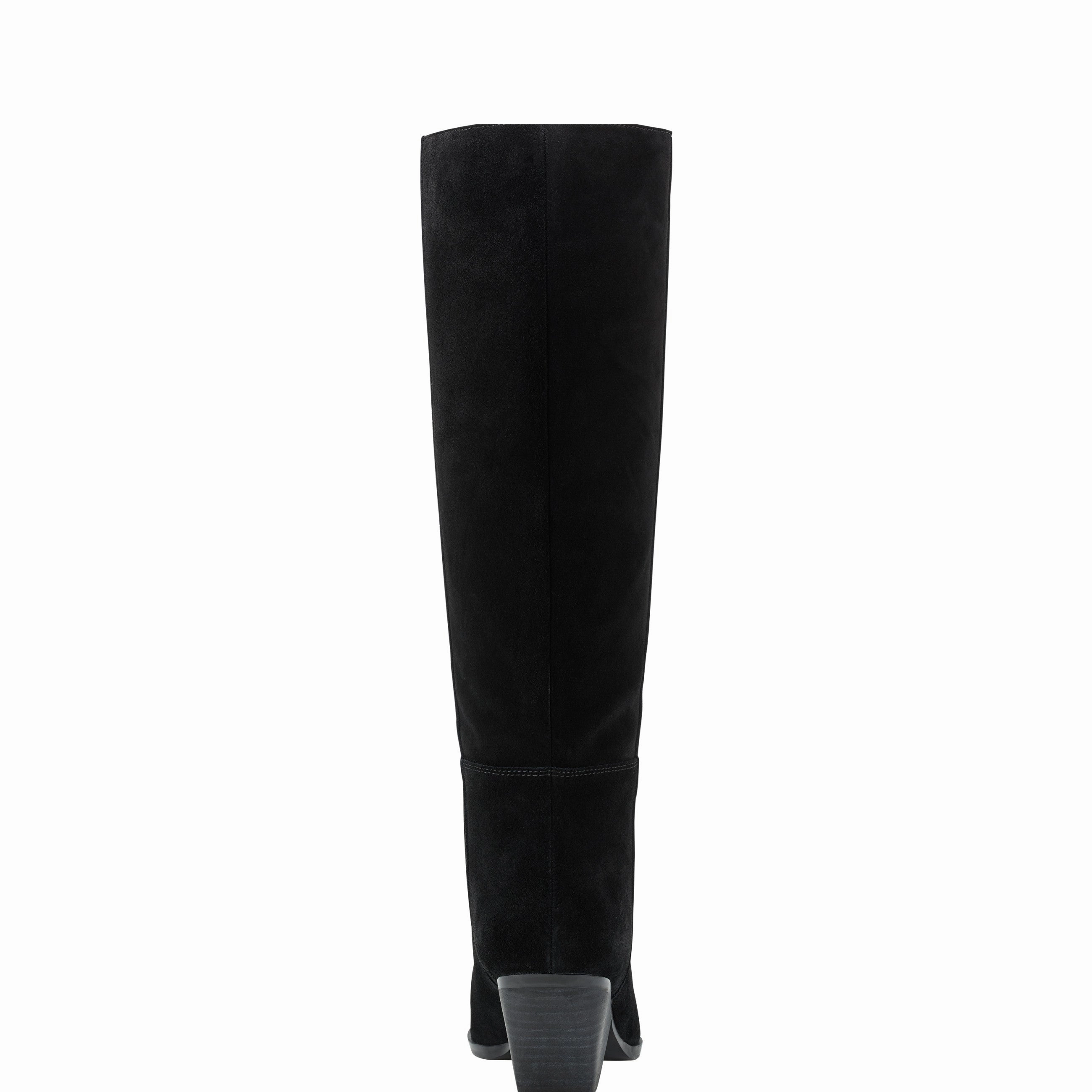 Challi Pointy Toe Boot