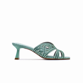 Fenisia 20 Years Exclusive