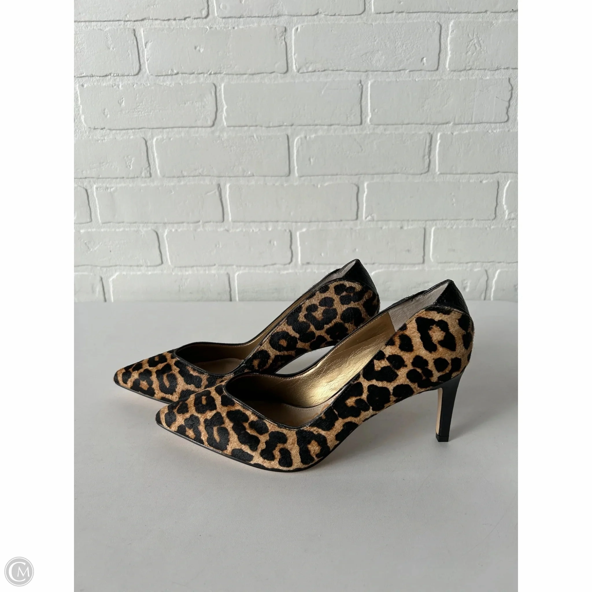 Shoes Heels Stiletto By Sam Edelman In Animal Print, Size: 8